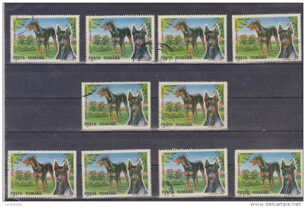 1990 -  EXPO CANINE  BRNO  Mi No 4607 Et Yv No 3873   DOBERMAN - Gebraucht