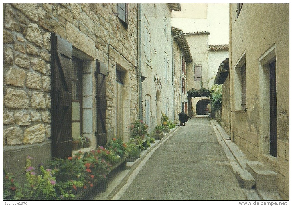 MIDI PYRENEES - 81 - TARN - CASTELNEAU DE MONTMIRAL - Cité Médiévale - Rue Cahuzac - CPSM GF Couleur - Castelnau De Montmirail