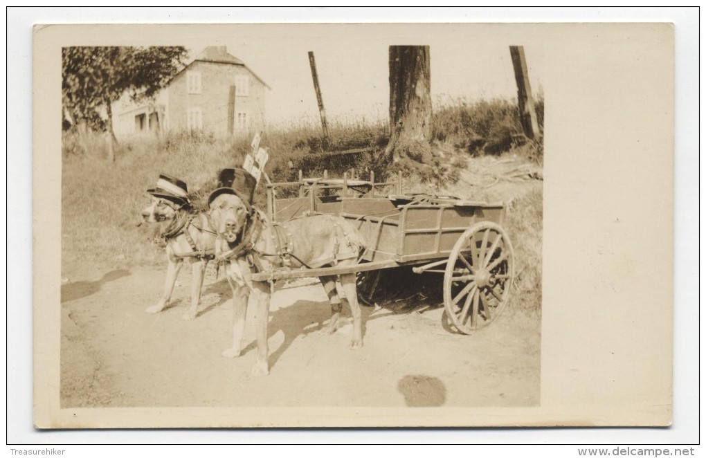 RPPC ~ Two Dogs Wearing Hats Pulling A Small Wooden Cart C1920 Postcard - Other & Unclassified