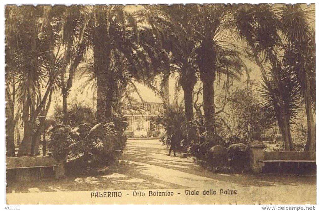 Cpa PALERMO ORTO BOTANICO - Palermo