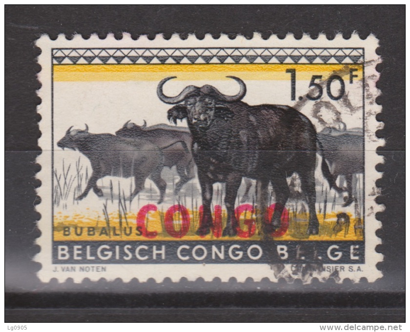 Congo, Belgisch Congo Used ; Buffel, Buffelo, Buffle, Bufalo - Koeien