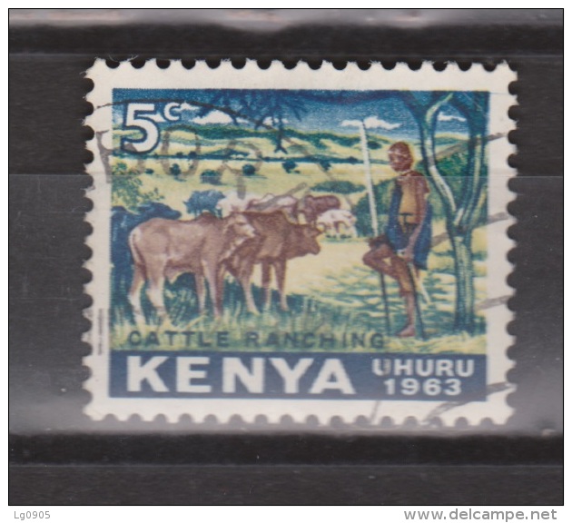 Kenya, Kenia Used ; Buffel, Buffelo, Buffle, Bufalo - Koeien