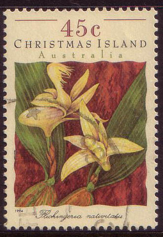 1994 - Christmas Island Orchids 45c FLICKINGERIA NATIVITATIS Stamp FU - Christmas Island