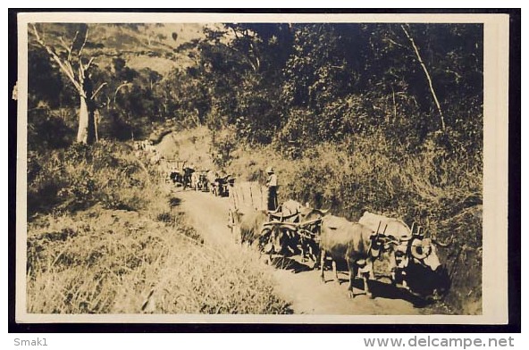 AK    BRAZIL   ANTIGO TRANSPORTE NO INTERIOR DO ESTADO   1929 - Sonstige & Ohne Zuordnung