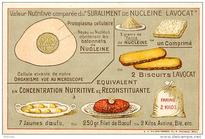 Themes Div-ref H853- Culinaire -gastronomie - Valeur Nutritive Comparée Du Suraliment Du Nucleine Lavocat  - - Publicité