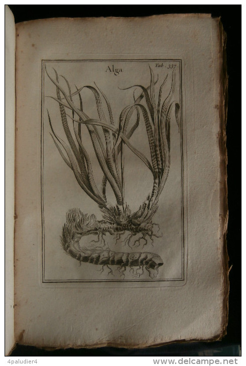 ELEMENS DE BOTANIQUE ou METHODE POUR CONNOITRE LES PLANTES PITTON de TOURNEFORT 1797 489 planches 6 volumes