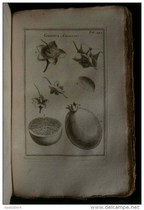 ELEMENS DE BOTANIQUE ou METHODE POUR CONNOITRE LES PLANTES PITTON de TOURNEFORT 1797 489 planches 6 volumes