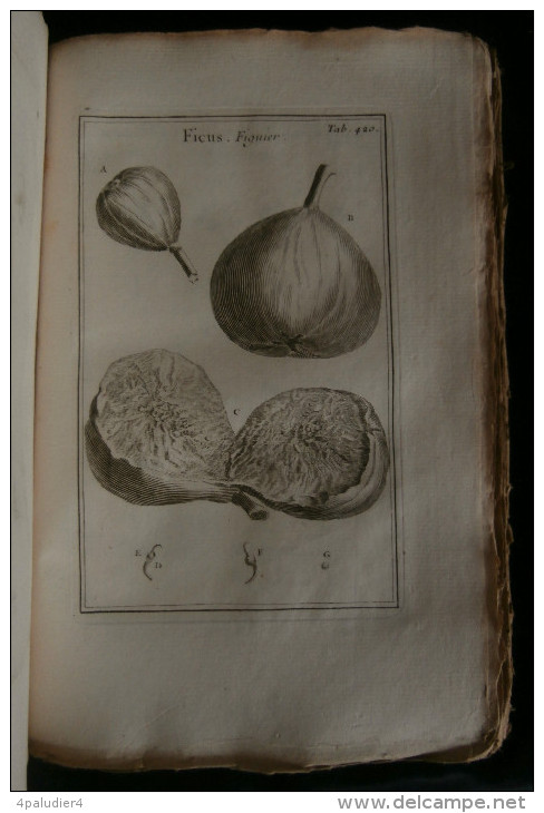 ELEMENS DE BOTANIQUE ou METHODE POUR CONNOITRE LES PLANTES PITTON de TOURNEFORT 1797 489 planches 6 volumes