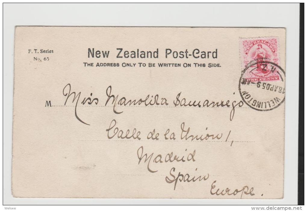 NZ171/ Wellington, Tinakori Road, 1905 Picture Card Sent To Spain - Neuseeland