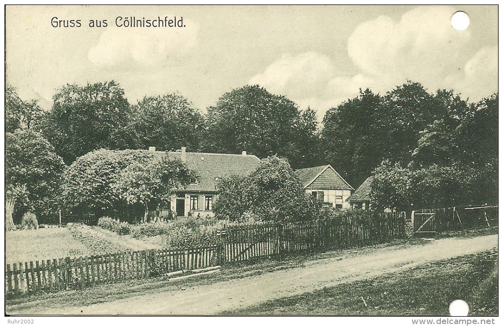 Uralte AK Gruss Aus Cöllnischfeld (bei Springe) - 1908 - Springe