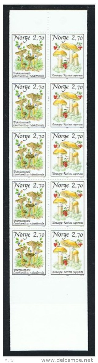 Noorwegen Y/T Carnet  C924 (**) - Carnets