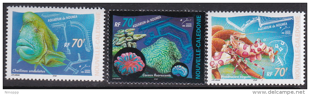 New Caledonia 2000 Noumea Acquarium MNH - Oblitérés