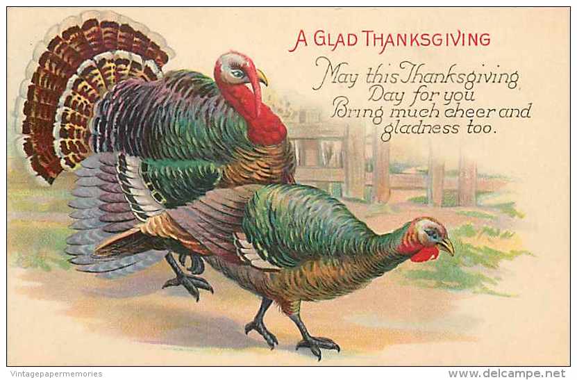 225787-Thanksgiving, Stecher No 777 B, Turkeys In The Farm Yard - Giorno Del Ringraziamento