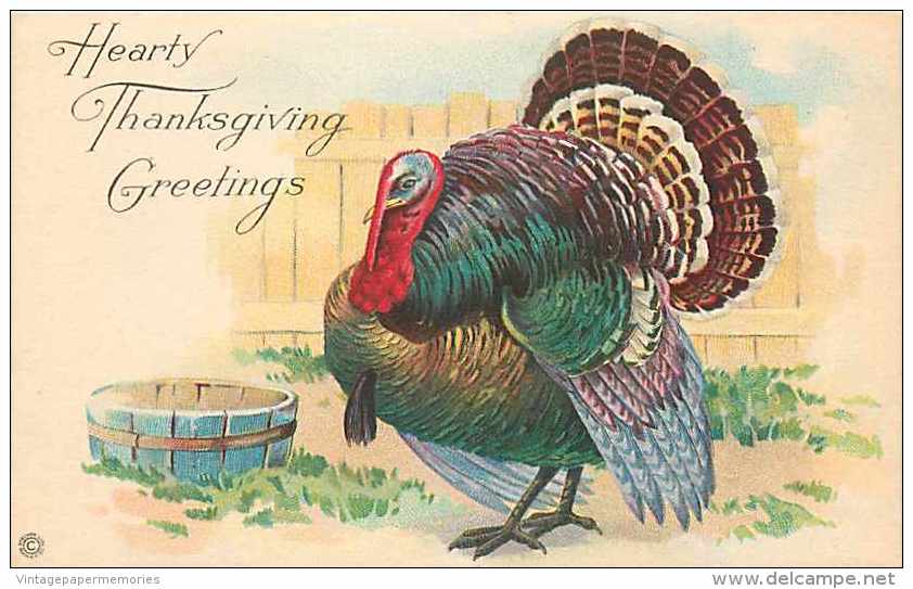 225789-Thanksgiving, Stecher No 777 D, Tom Turkey Standing In Farm Yard - Thanksgiving