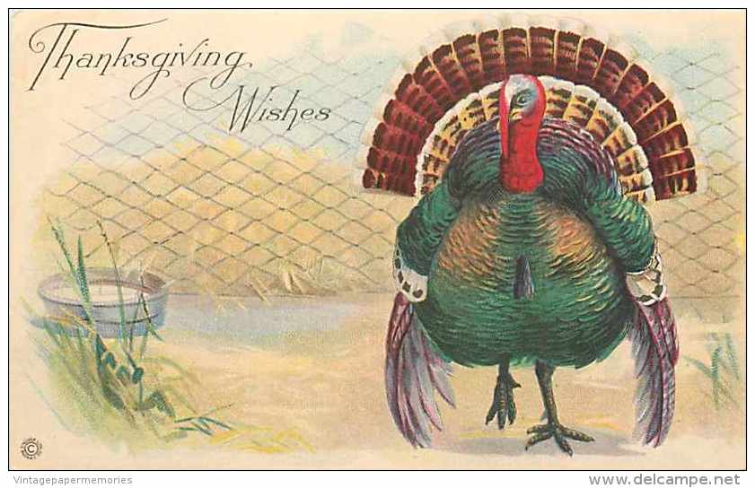 225791-Thanksgiving, Stecher No 777 F, Tom Turkey Standing In Farm Yard - Giorno Del Ringraziamento