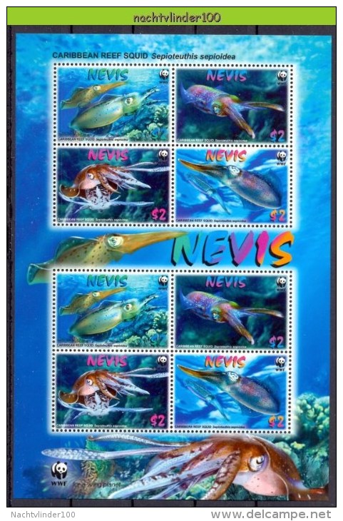 Nbx448MSb WWF FAUNA ´VISSEN FISH FISCHE´ INKTVIS CARIBBEAN REEF SQUID KARIBISCHER RIFFKALAMAR NEVIS 2009 PF/MNH - Colecciones & Series