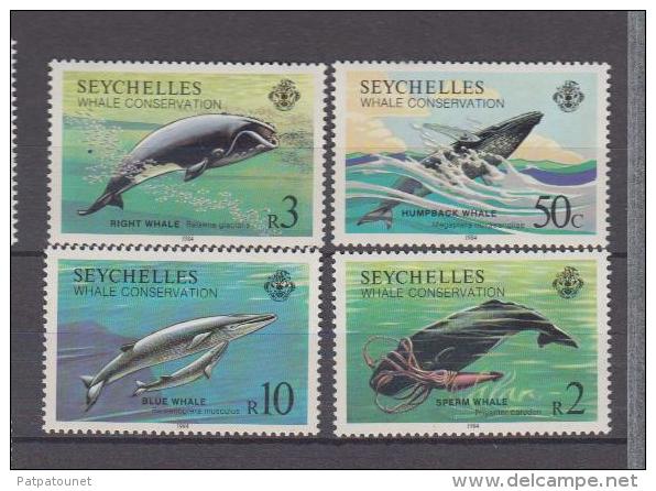Seychellesj YV 565/8 N 1984 Baleine - Baleines