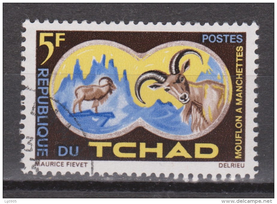 Tsjaad, Tchad Used ; Manenschaap, Bok, Goat, Chivo, Bouc, Schaap, Sheep, Mouton, Carneros - Gibier