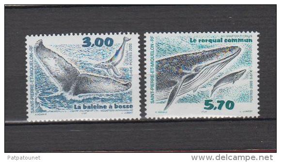 Saint Pierre Et Miquelon YV 707/8 N 2000 Baleine - Baleines