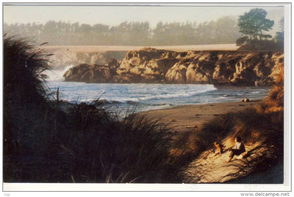 SONOMA COAST On Hwy 1, CA - Tranquil Beach At The SEA RANCH, Near The Bay Area - American Roadside