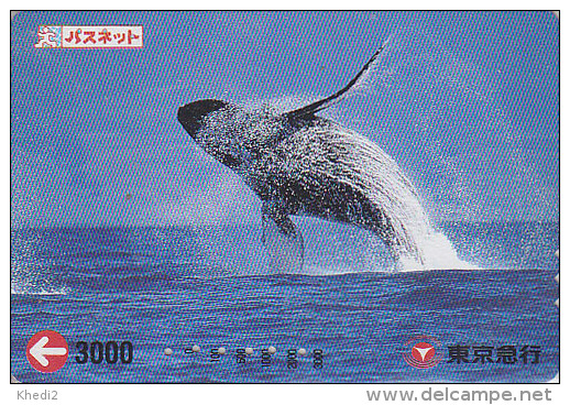 Carte Prépayée Japon - ANIMAL - BALEINE - WHALE  Japan Prepaid Passnet Tokyu Card - WAL Karte - 271 - Delfines