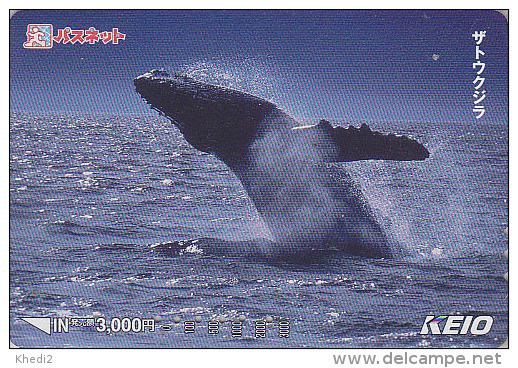 Carte Prépayée Japon - BALEINE  - WHALE Japan Prepaid Card - WAL Karte - 274 - Delfines