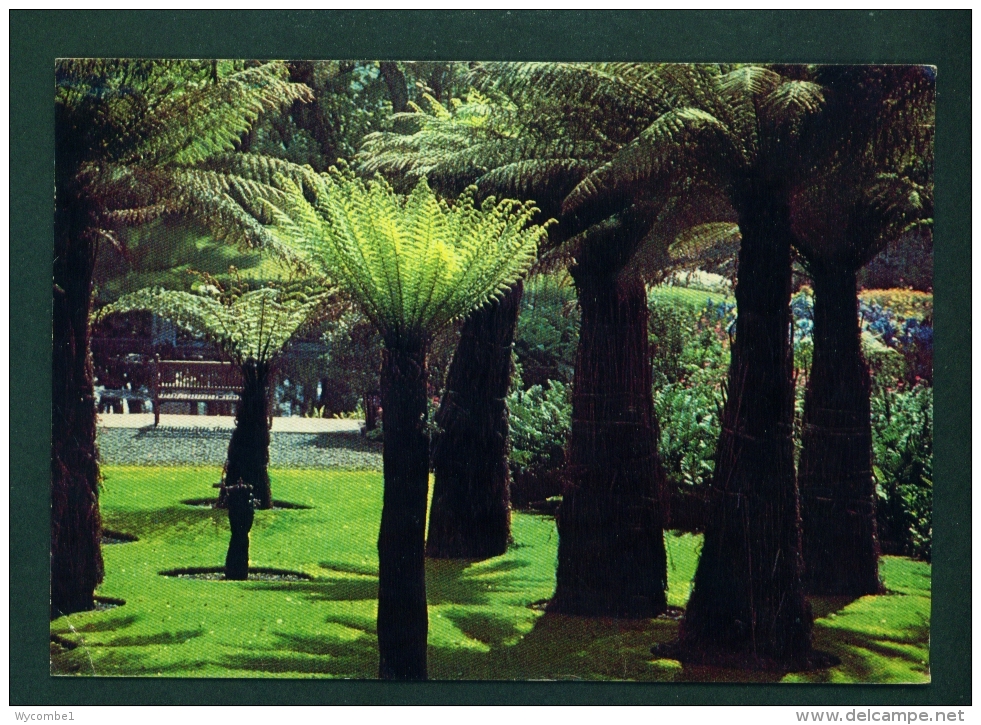 SCOTLAND  -  Logan Botanic Garden  Used Postcard As Scans - Dumfriesshire