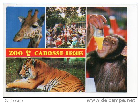 Animal  Sauvage / Zoo De La Cabosse à Jurques 14 - Autres & Non Classés