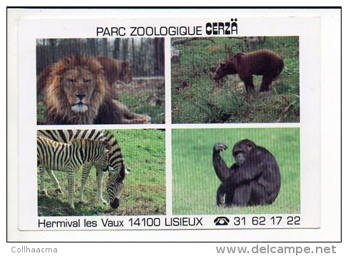 Animal  Sauvage / Zoo Ou Parc Zoologique De Cerza Hermival Les Vaux 14 - Autres & Non Classés