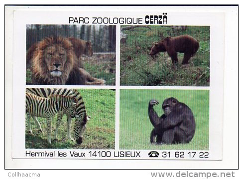 Animal  Sauvage / Zoo Ou Parc Zoologique De Cerza Hermival Les Vaux 14 - Autres & Non Classés