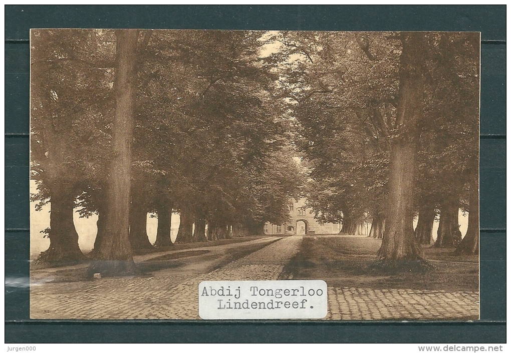 TONGERLOO: Lindendreef, Gelopen Postkaart 1937 (Uitg Nels) (GA19927) - Westerlo