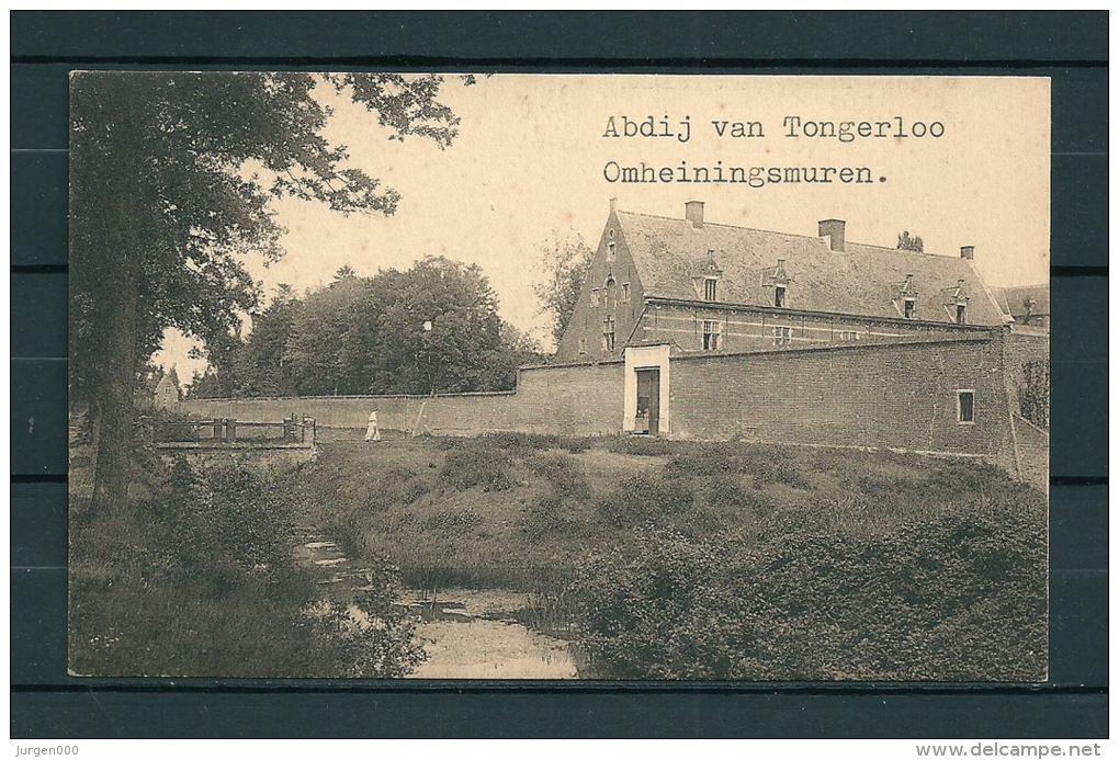 TONGERLOO: Omheiningsmuren, Niet Gelopen Postkaart (Uitg Thill) (GA19938) - Westerlo