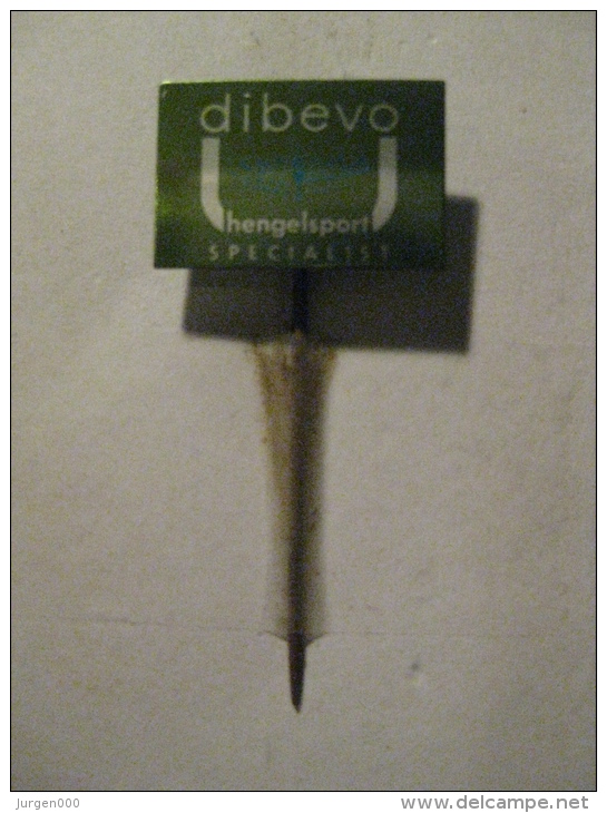 Pin Hengelsport Dibevo (GA01199) - Autres & Non Classés