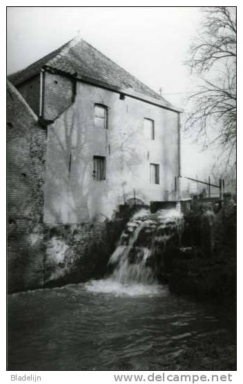 MERE - Erpe-Mere (O.Vl.) - Molen/moulin/mill - De Gotegemmolen Toen Deze Nog Dagelijks In Bedrijf Was. (1993) - Erpe-Mere