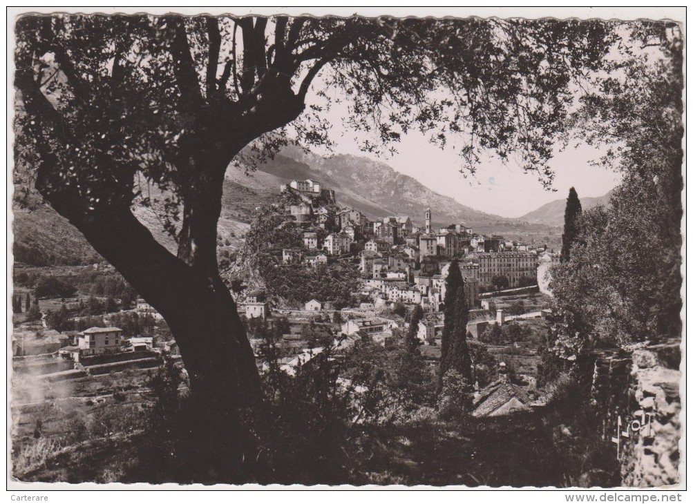 HAUTE CORSE,CORSICA,CORTI,CORTE ,en 1954,vue Ciblée,village,église,nat Ure,nature,photo Yvon - Corte