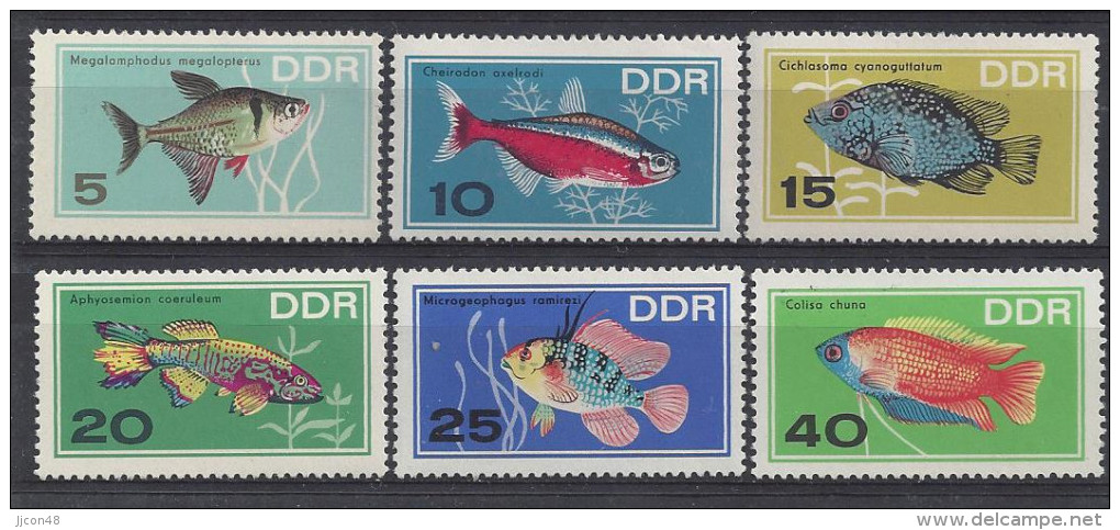 Germany (DDR) 1966  Zierfische  (**)  MNH  M.1221-1226 - Unused Stamps