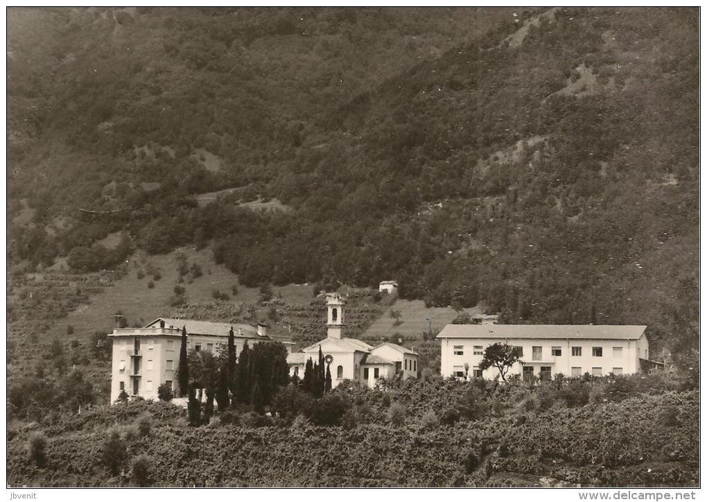 SAN PIETRO Di BARBOZZA (Treviso) - Collegio Dell'Immacolata - Treviso