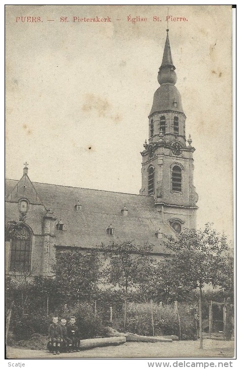 Puers.  -  St. Pieterskerk;  1909 - Puurs