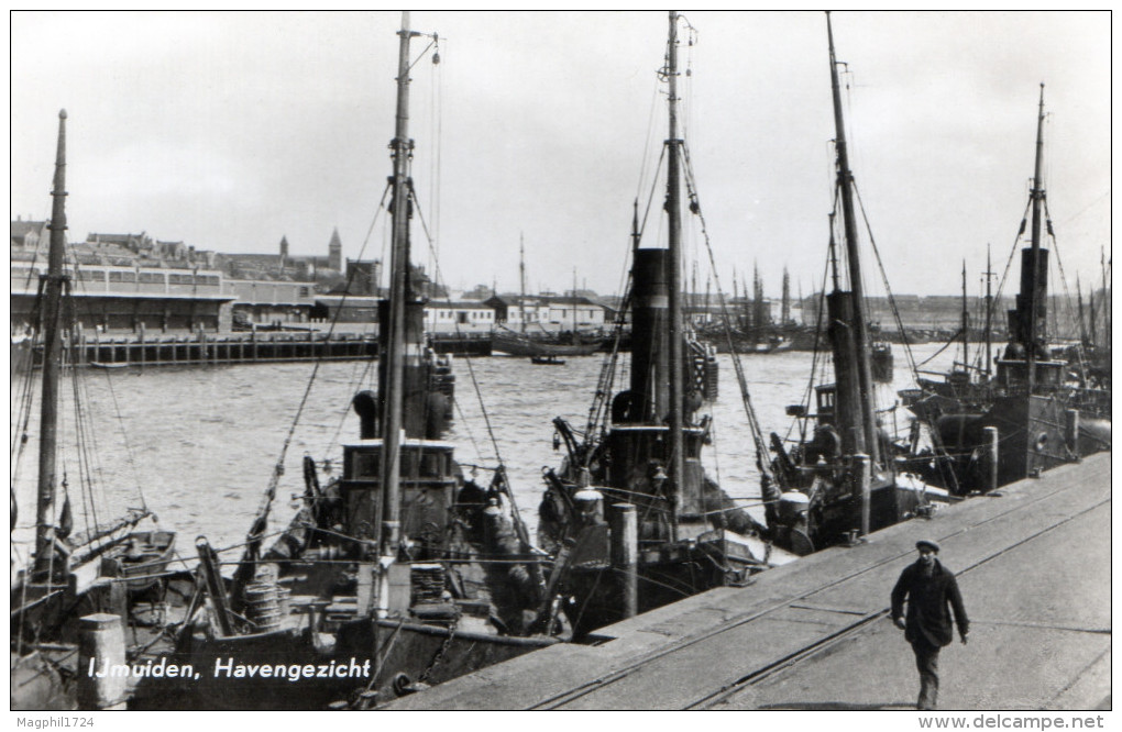 Cpsm Ijmuiden Havengezicht - IJmuiden