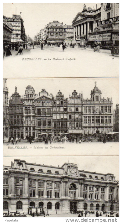 Belgique ; Précurseur , 20 Cartes De Bruxelles ( Toutes Scanées ) - Lots, Séries, Collections