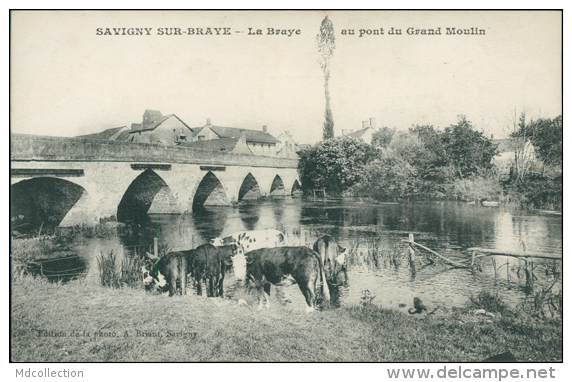 41 SAVIGNY SUR BRAYE / La Braye Au Pont Du Grand Moulin / - Autres & Non Classés