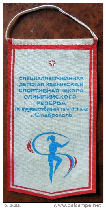 Fanion D'un Rassemblement De Gymnastique à Moscou (années 60) - Gimnasia