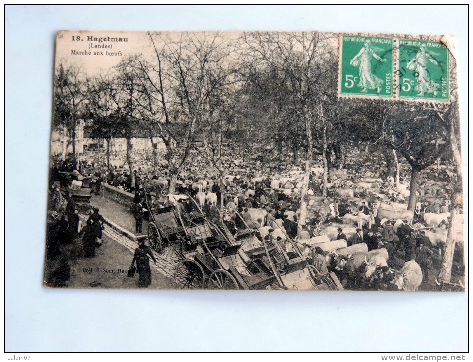 Carte Postale Ancienne : HAGETMAU : Marché Aux Boeufs , En1915 - Hagetmau