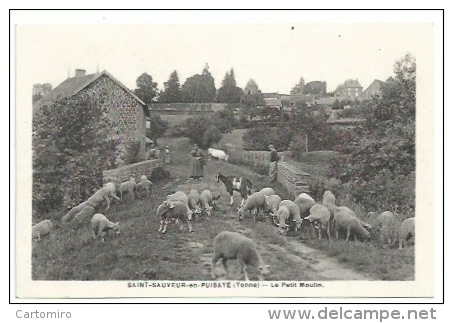 89 St Sauveur En Puisaye - Le Petit Moulin - Saint Sauveur En Puisaye