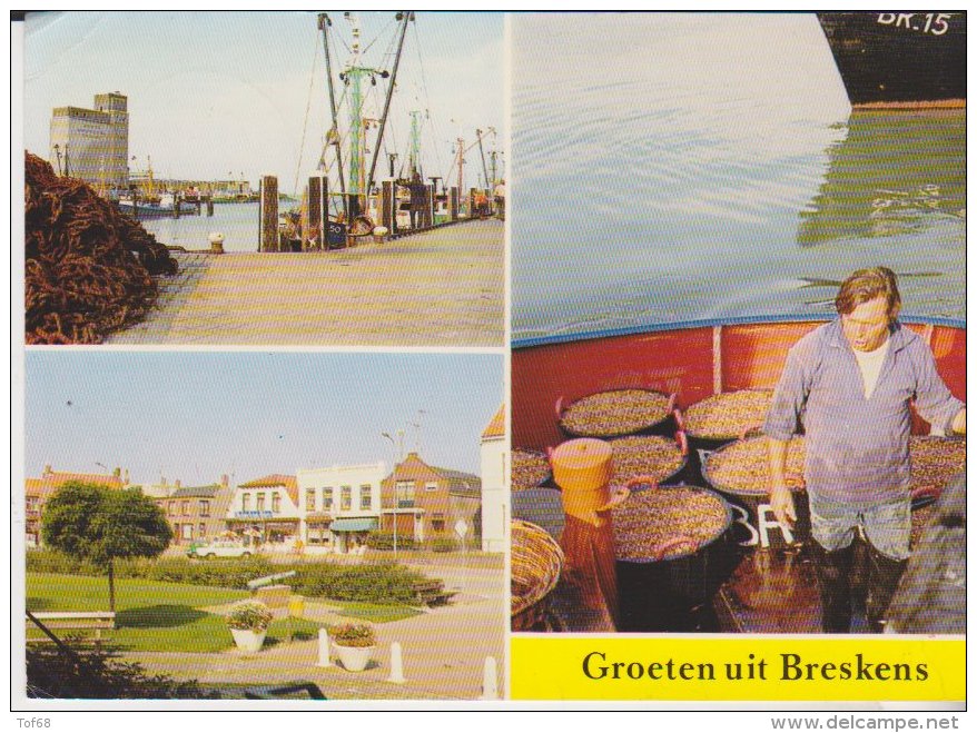 Groeten Uit Breskens - Breskens