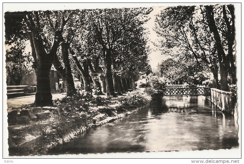 L'Isle Sur Sorgue La Sorgue Timbrée Excellent état - Autres & Non Classés