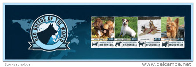 Micronesia-2014-Dogs - Mikronesien