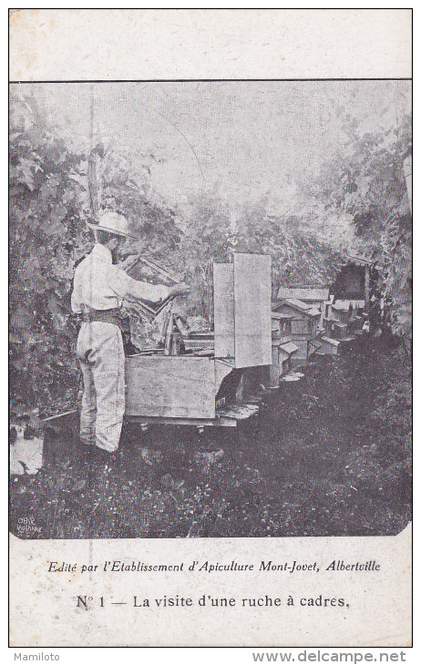 ALBERTVILLE ( Etablissement D'Apiculture Mont-Jovet , Albertville ) La Visite D'une Ruche à Cadres - Albertville