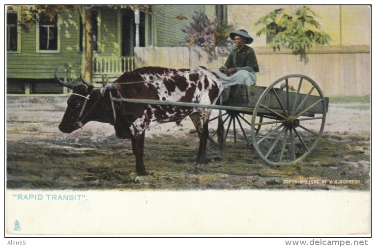 'Rapid Transit' Black Drives Cart Tucks The Sunny South #2181, C1900s Vintage Postcard - Black Americana