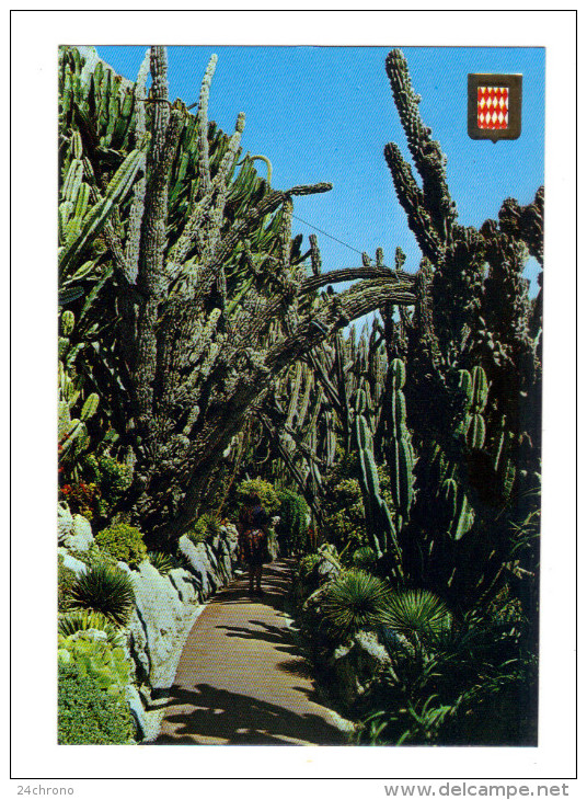 Monaco: Jardin Exotique, Cactus (14-3432) - Jardin Exotique